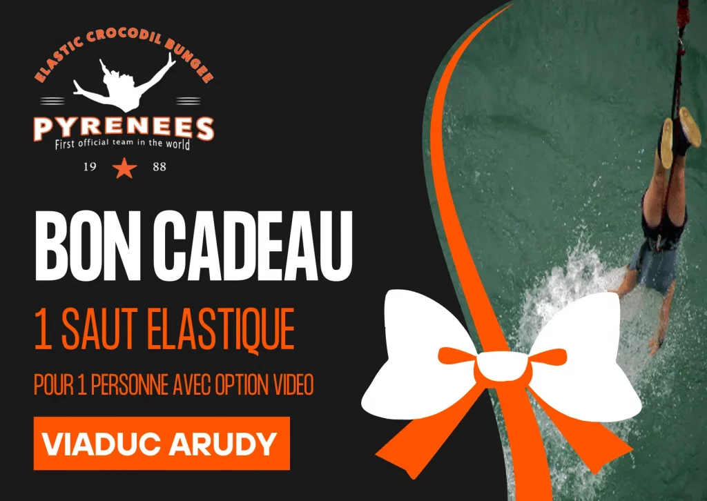 bon cadeau saut a lelastique pau VIADUC ARUDY 1 saut avec OPTION VIDEO.png 1