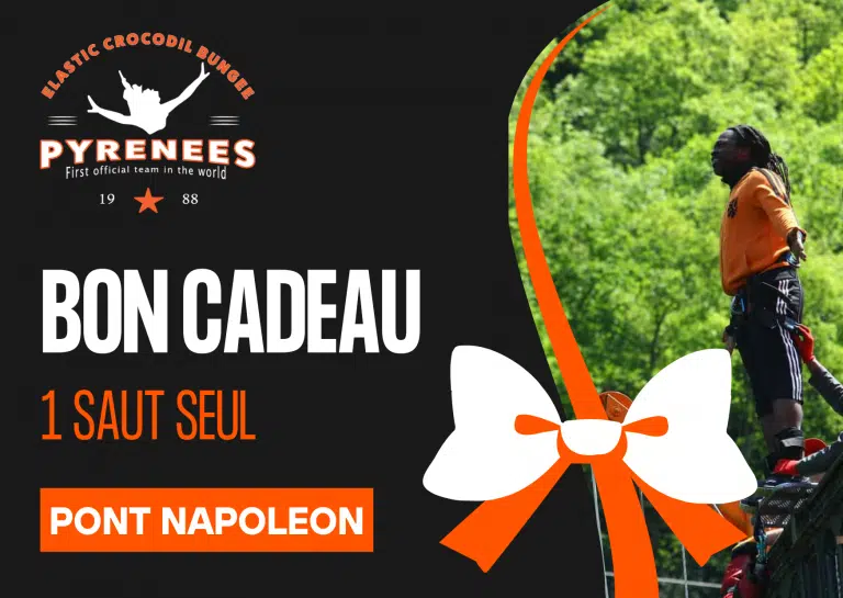 pont napoleon saut seul 2 768x545.png